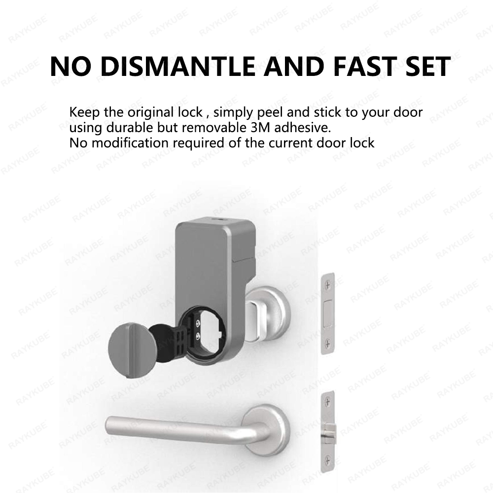 RAYKUBE A1 Pro Tuya BEL Smart  - Woodworking App ulasan dan harga