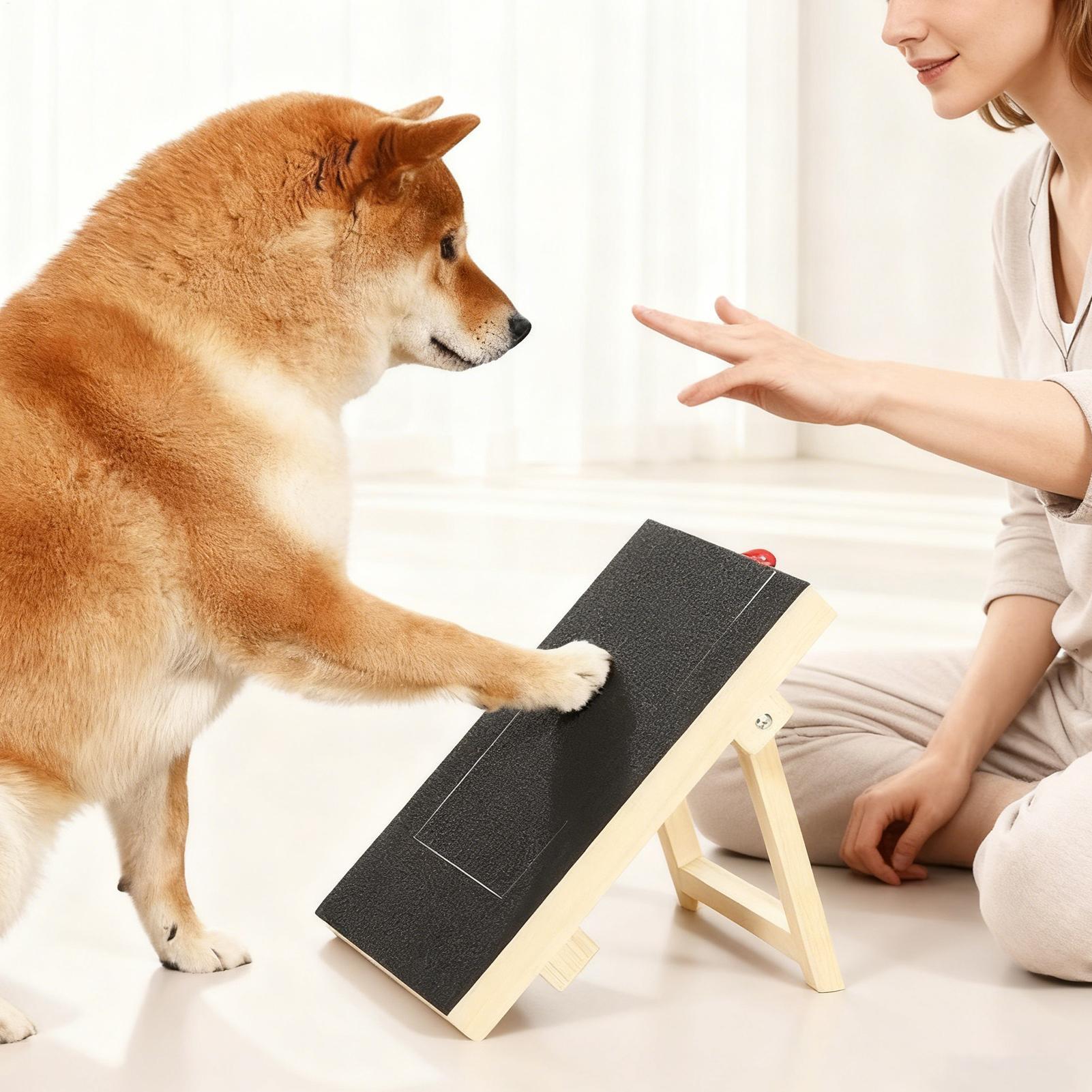 Dog Nail File Board with Pull- - Woodworking Magazine ulasan dan harga