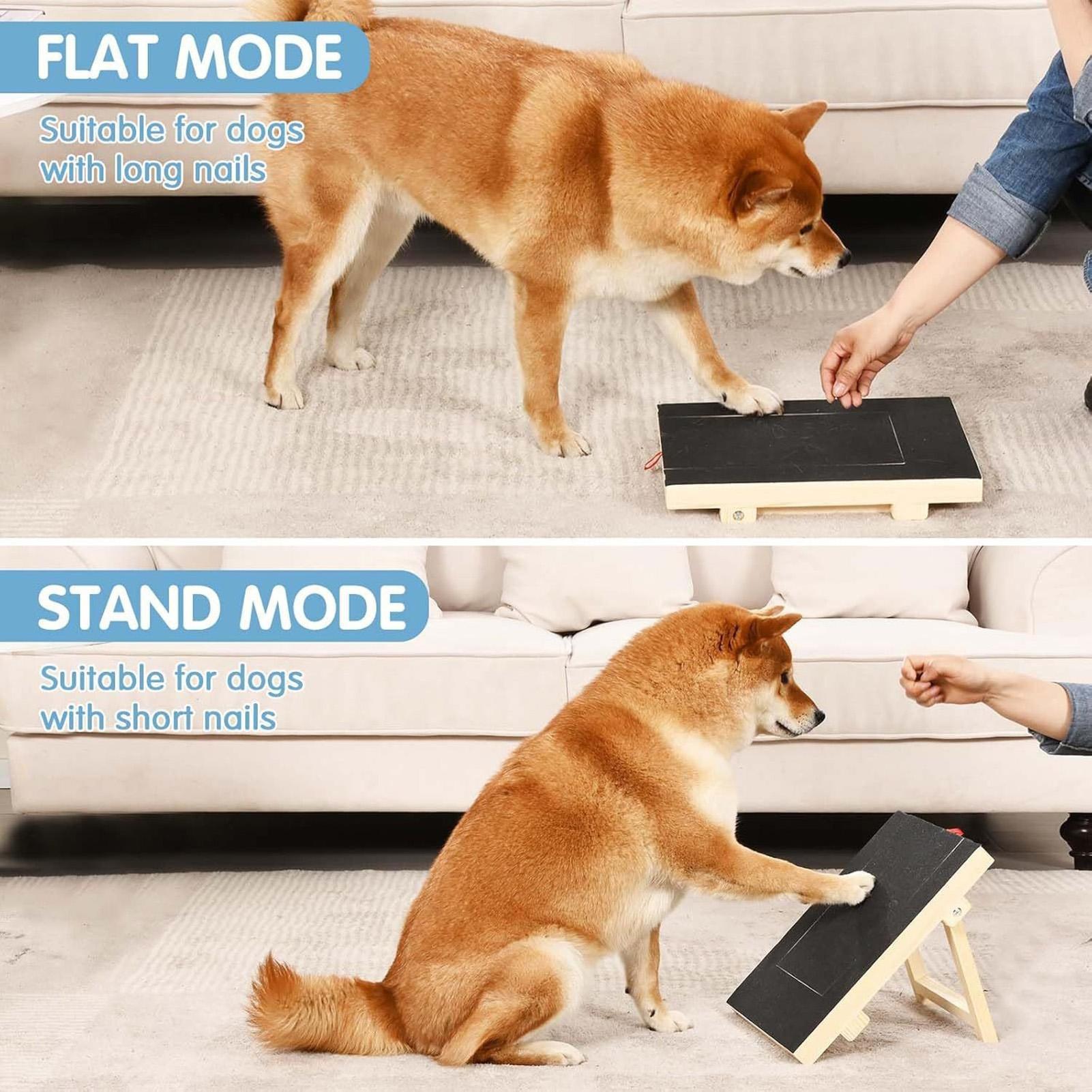 Dog Nail File Board with Pull- - Woodworking Magazine ulasan dan harga